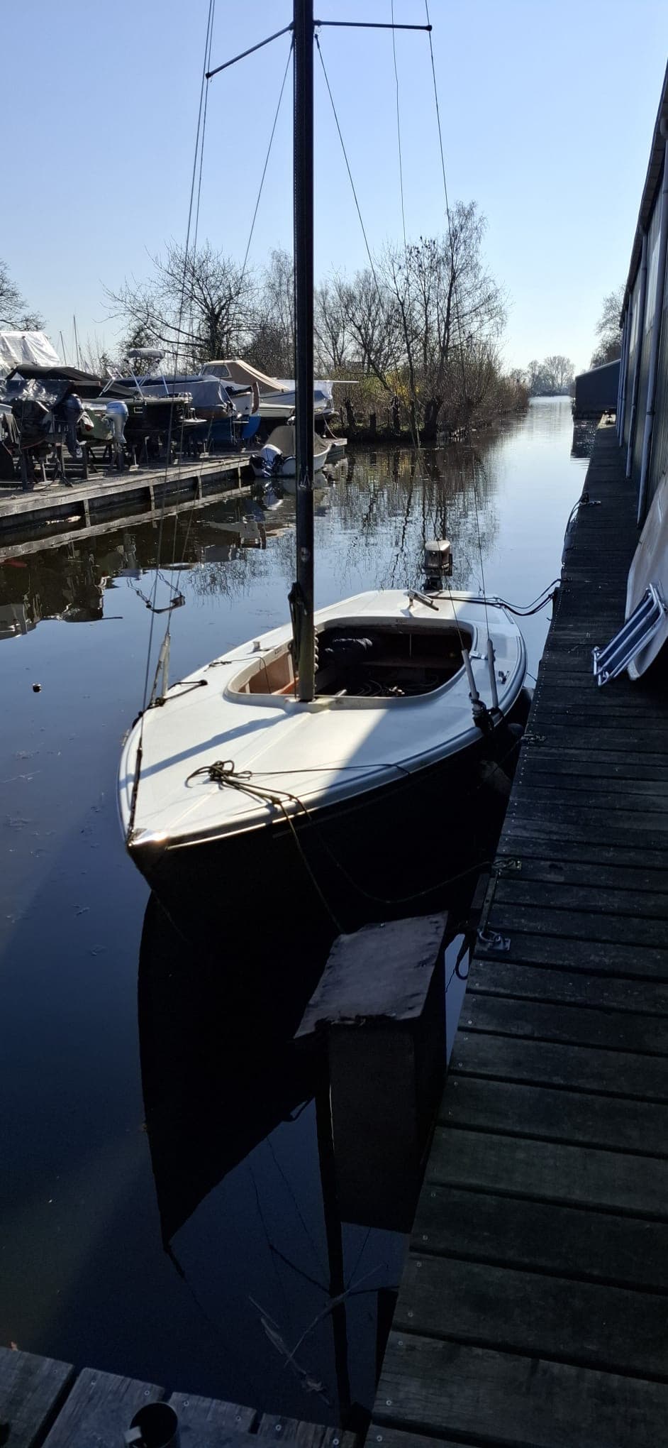 Te Koop: Centauer grootzeil en fok! - Afbeelding 1