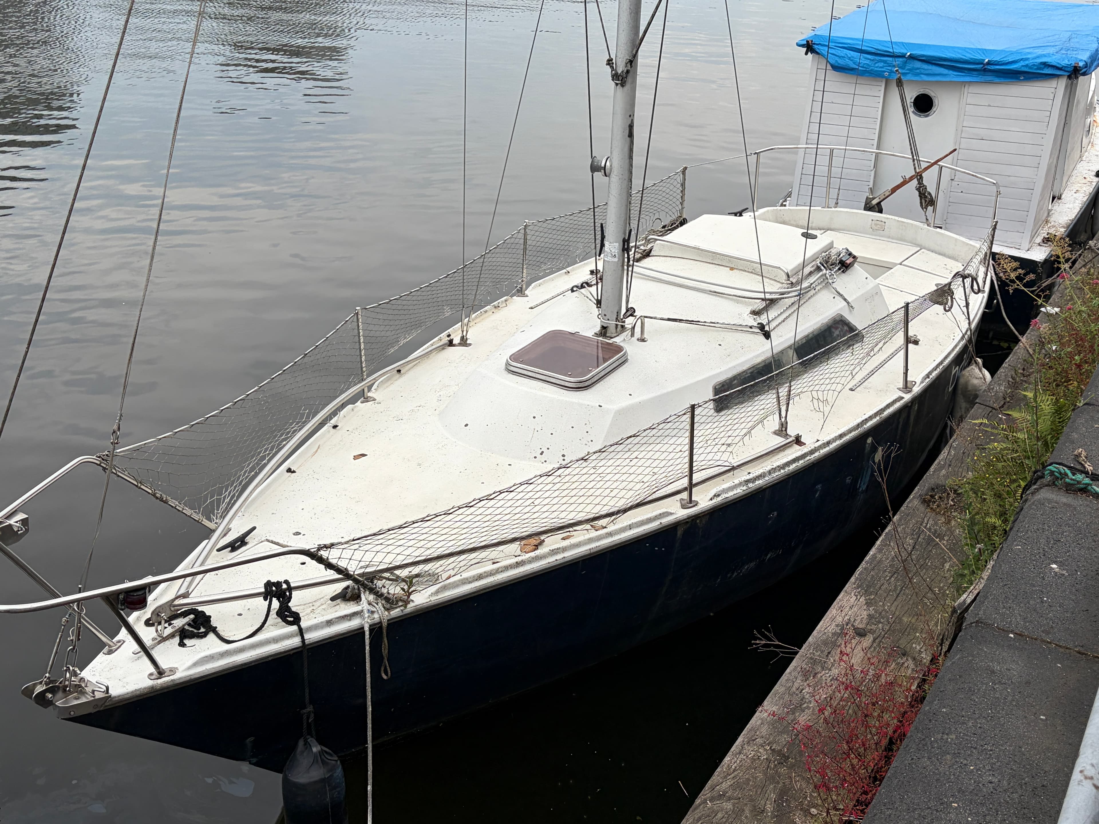 Gib'Sea 24 projectboot | Incl. Suzuki 6pk, Raymarine stuurautomaat & maststrijkinst. - Afbeelding 1
