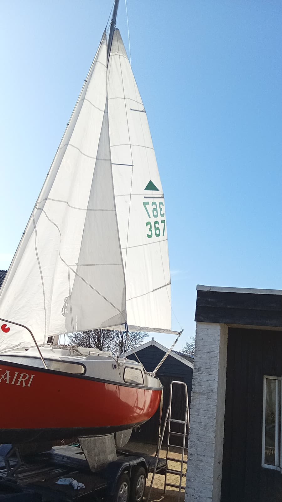 Jouet Tiburon - Afbeelding 1