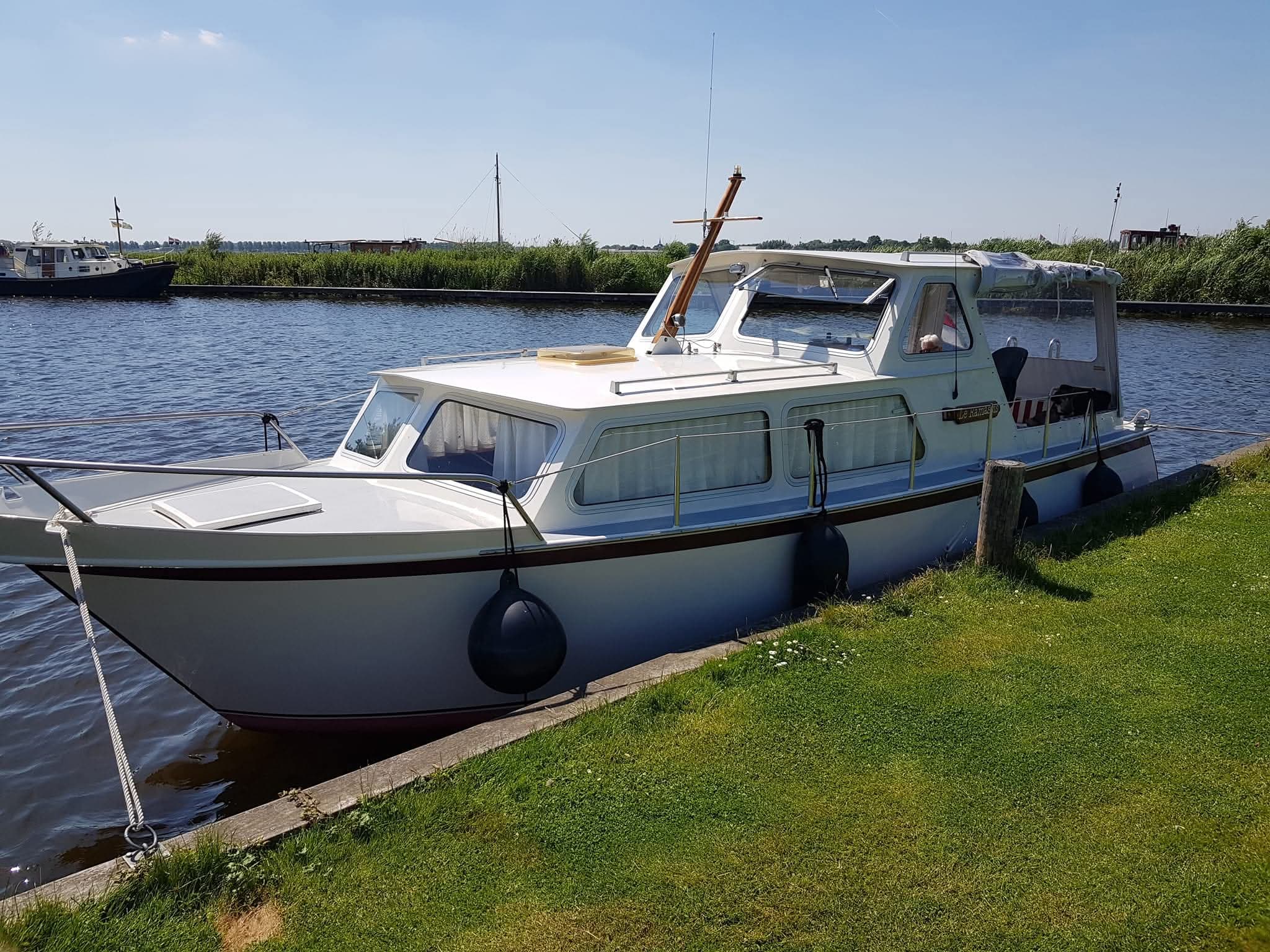 Meeuwkruiser - Afbeelding 1